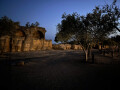 Olive Tree, Valle dei Templi, Sicily